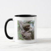 Sloth Baby mit Mutter, die von einem Baum hängt Tasse (Links)
