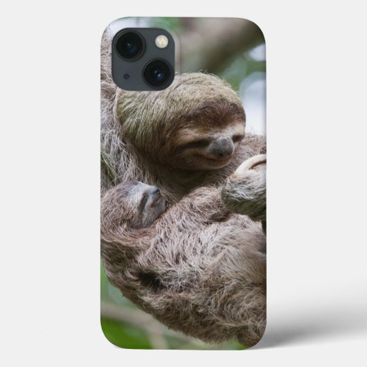 Sloth Baby mit Mutter Hänge von einem Baum Case-Mate iPhone Hülle (Rückseite)