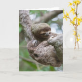Sloth Baby mit Mutter Hänge von einem Baum Karte (Gelbe Blume)