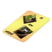 Sloth "Be You Unique", Foto Magnet (Linke Seite)