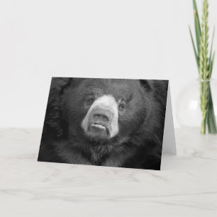 Sloth Bear #1 Grußkarte Karte