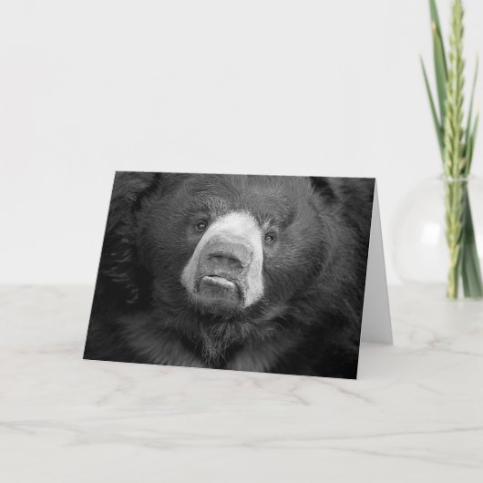 Sloth Bear #1 Grußkarte Karte (Vorderseite)