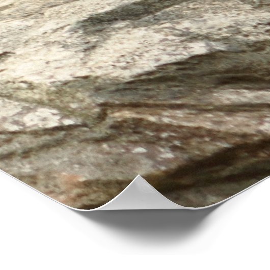 Sloth Bear Foto Poster (Ecke)