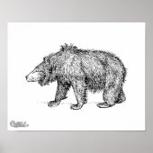 Sloth Bear Poster (Vorne)