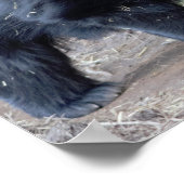 Sloth Bear Poster (Ecke)