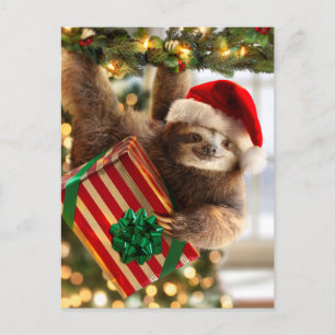 Sloth Bearing Geschenke Einladungspostkarte