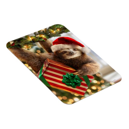 Sloth Bearing Geschenke Magnet (Rechte Seite)