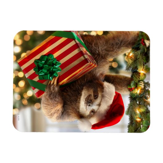 Sloth Bearing Geschenke Magnet (Horizontal)