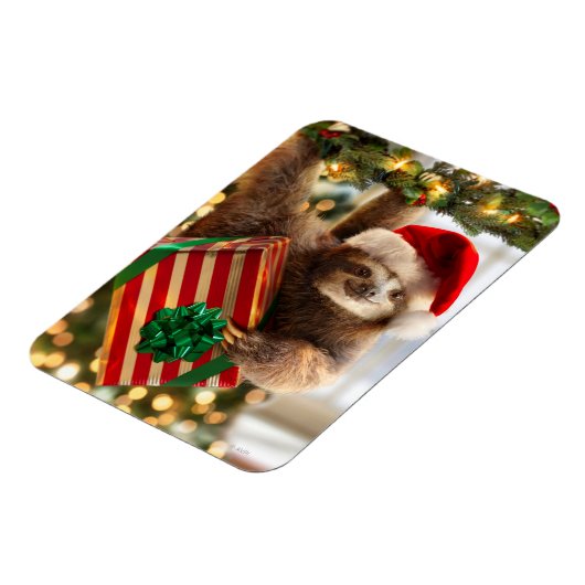 Sloth Bearing Geschenke Magnet (Linke Seite)