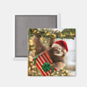 Sloth Bearing Geschenke Magnet (Vorderseite/Rückseite)