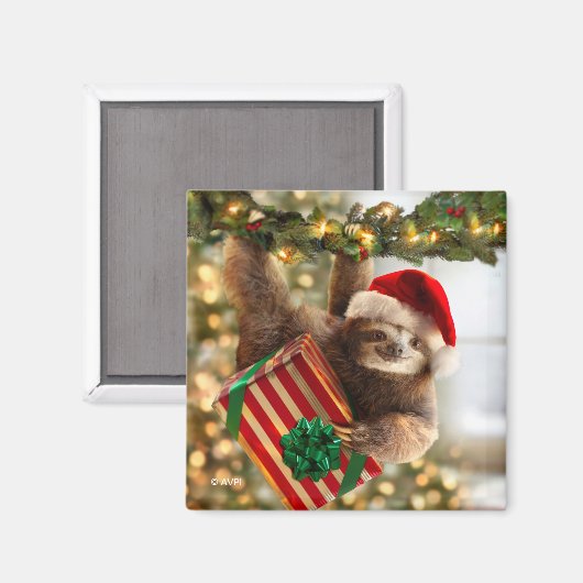 Sloth Bearing Geschenke Magnet (Vorderseite/Rückseite)