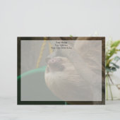 Sloth Briefkopf (Stehend Vorderseite)