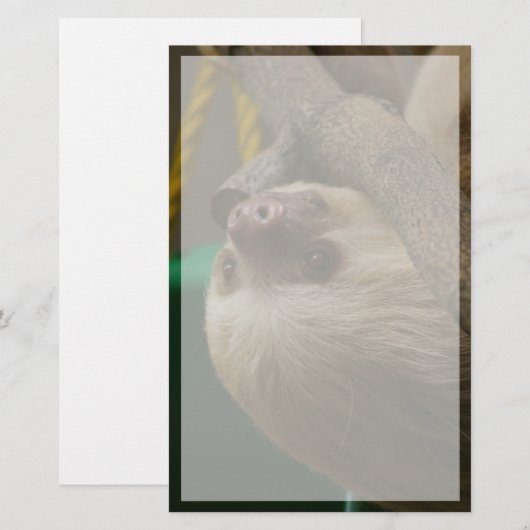 Sloth Briefpapier (Vorne/Hinten)