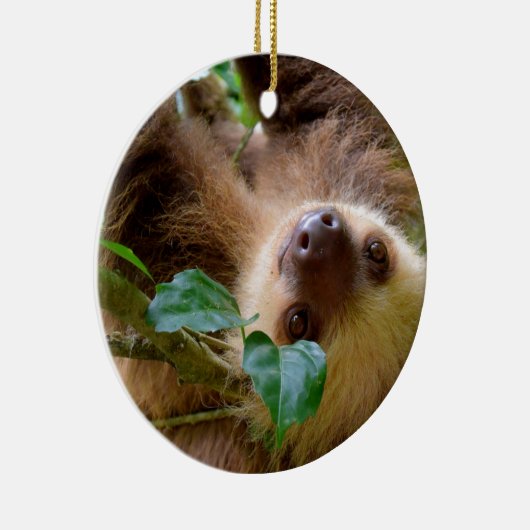 Sloth & Capybara Keramik Ornament (Rechts)