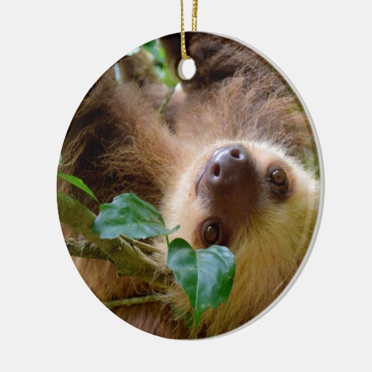 Sloth & Capybara Keramik Ornament (Links)