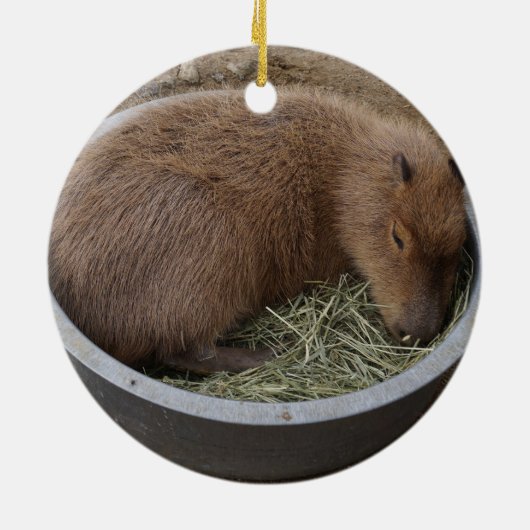 Sloth & Capybara Keramik Ornament (Hinten)