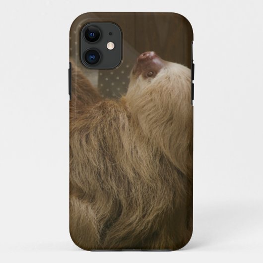 Sloth Case-Mate iPhone Case (Rückseite)