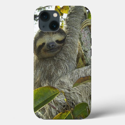 Sloth Case-Mate iPhone Hülle (Rückseite)