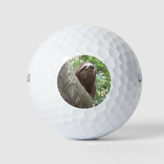 Sloth Climbing Golfball (Vorderseite)