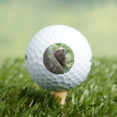 Sloth Climbing Golfball (Insitu T-Shirt)