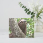 Sloth Climbing Postkarte (Stehend Vorderseite)