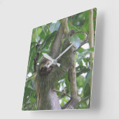 Sloth Clock Quadratische Wanduhr (Winkel)