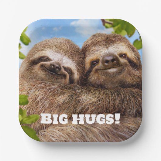 Sloth Couple Pappteller (Vorderseite)