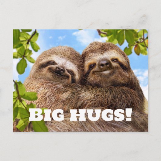 Sloth Couple Postkarte (Vorderseite)