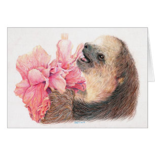 Sloth, der Hibiskus-Blume isst