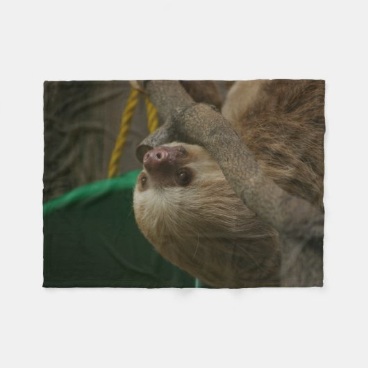 Sloth Fleecedecke (Vorderseite (Horizontal))