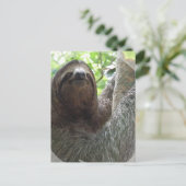 Sloth Foto Design Postkarte (Stehend Vorderseite)