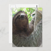 Sloth Foto Design Postkarte (Vorne/Hinten)