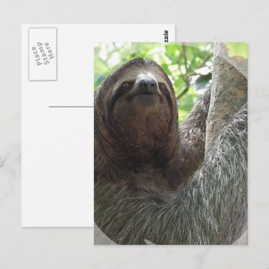 Sloth Foto Design Postkarte (Vorne/Hinten)