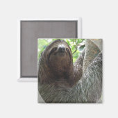 Sloth Foto Design Square Magnet (Vorderseite/Rückseite)