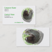 Sloth-Foto-Entwurfs-Geschäfts-Karte Visitenkarte (Vorne/Hinten)