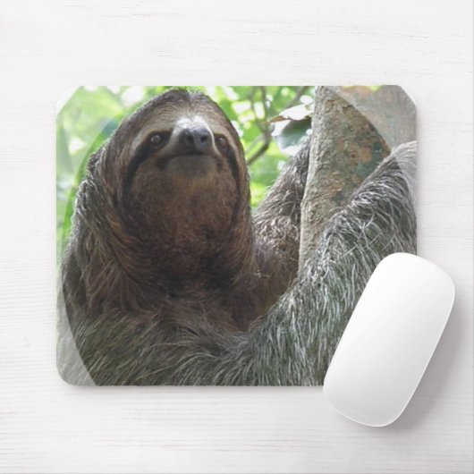 Sloth-Foto-Entwurfs-Mausunterlage Mousepad (Mit Mouse)