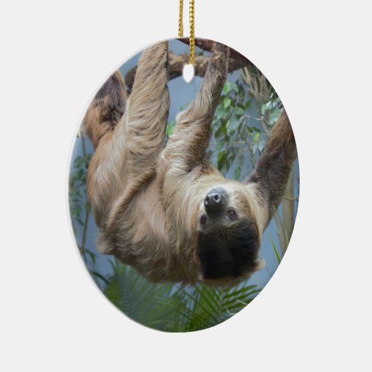 Sloth Foto Keramik Ornament (Rechts)