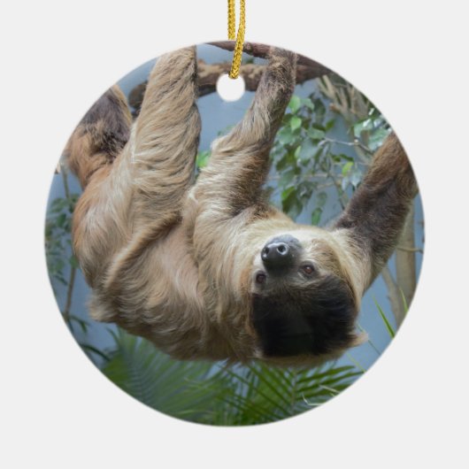 Sloth Foto Keramik Ornament (Vorne)