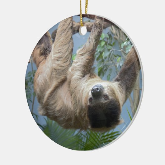 Sloth Foto Keramik Ornament (Links)