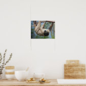 Sloth Foto Poster (Küche)
