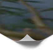 Sloth Foto Poster (Ecke)