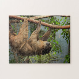 Sloth-Foto-Puzzlespiel Puzzle