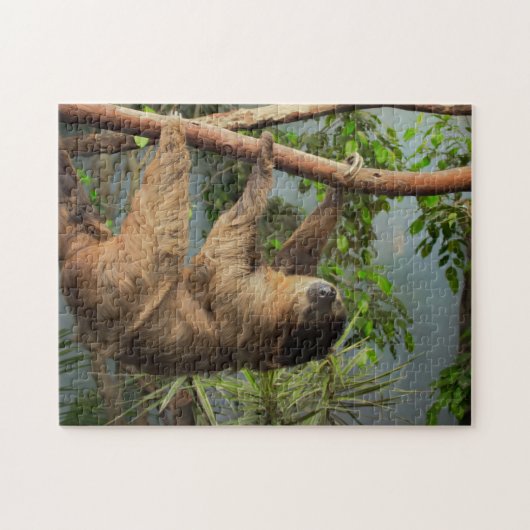 Sloth-Foto-Puzzlespiel Puzzle (Horizontal)