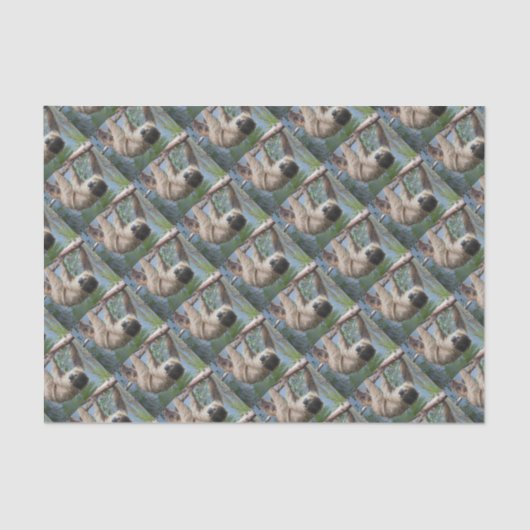 Sloth-Foto Seidenpapier (Vorderseite)