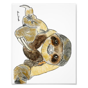 Sloth Fotodruck