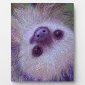 Sloth Fotoplatte (Vorderseite)