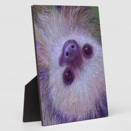 Sloth Fotoplatte (Seite)