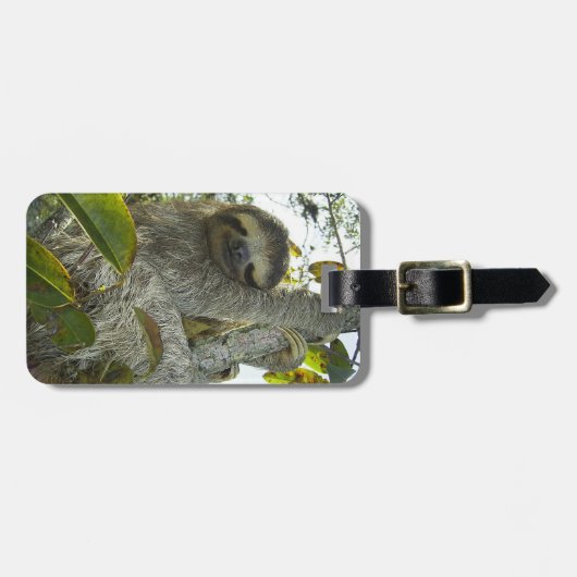 Sloth Gepäckanhänger (Vorderseite horizontal)