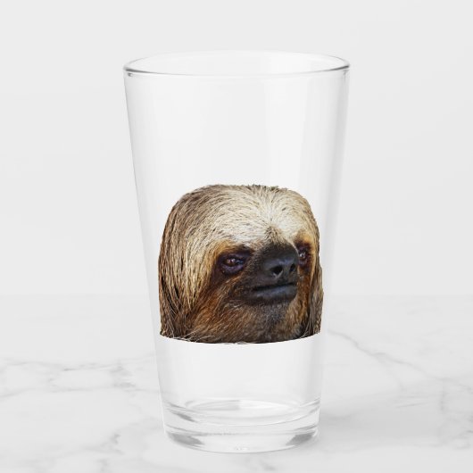 Sloth Glas (Vorderseite)