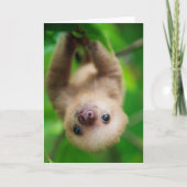 Sloth Greeting Card Karte (Vorderseite)